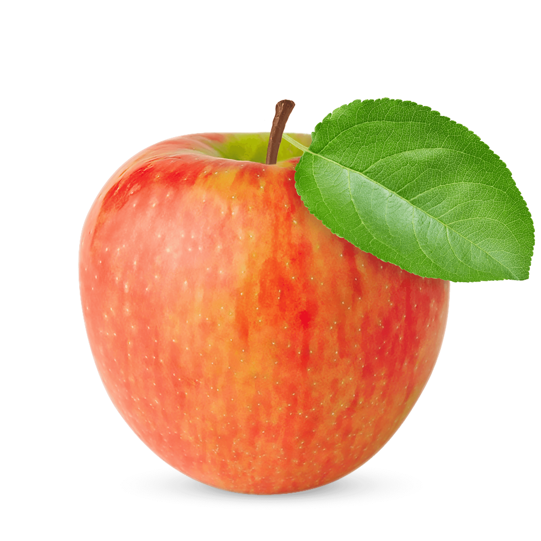 Honeycrisp Apple